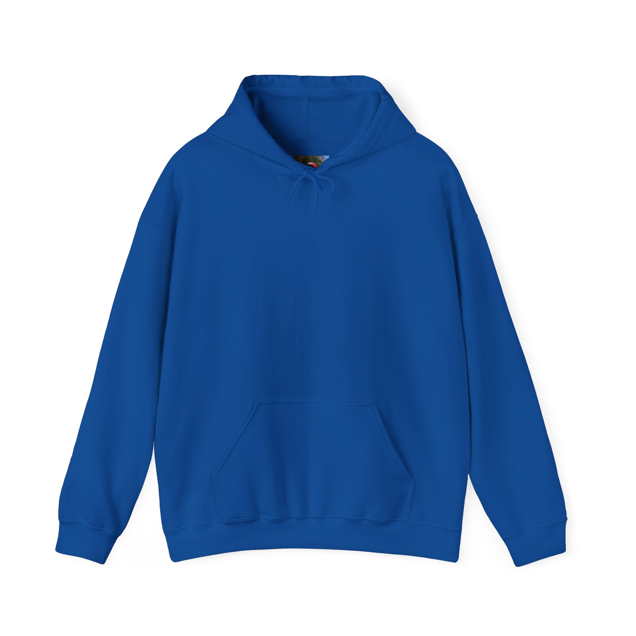 Smashtoos Logo Hoodie — Streetwear Graphic Pullover with Sleeve and Back Print