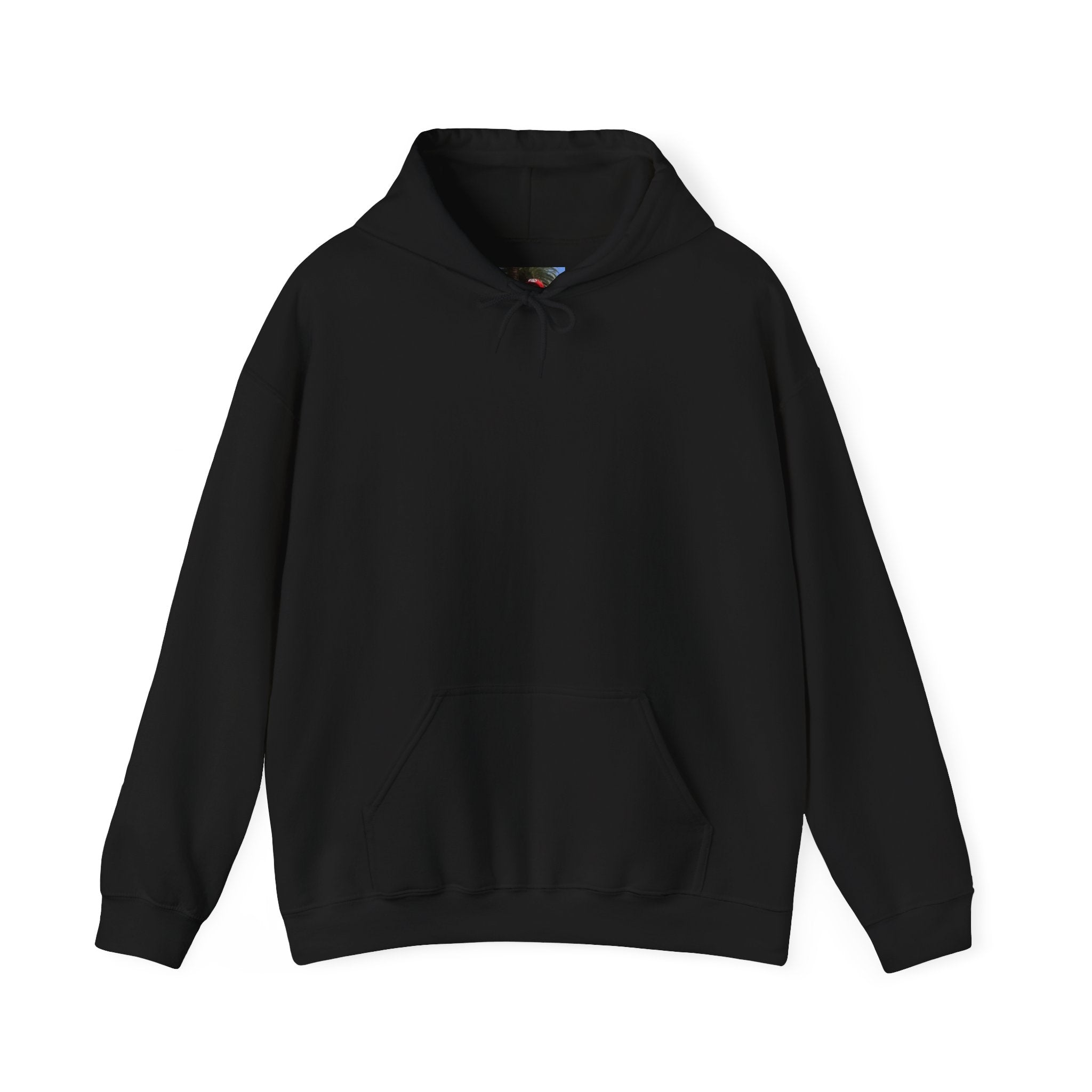 Smashtoos Logo Hoodie — Streetwear Graphic Pullover with Sleeve and Back Print