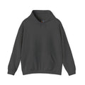 Smashtoos Logo Hoodie — Streetwear Graphic Pullover with Sleeve and Back Print