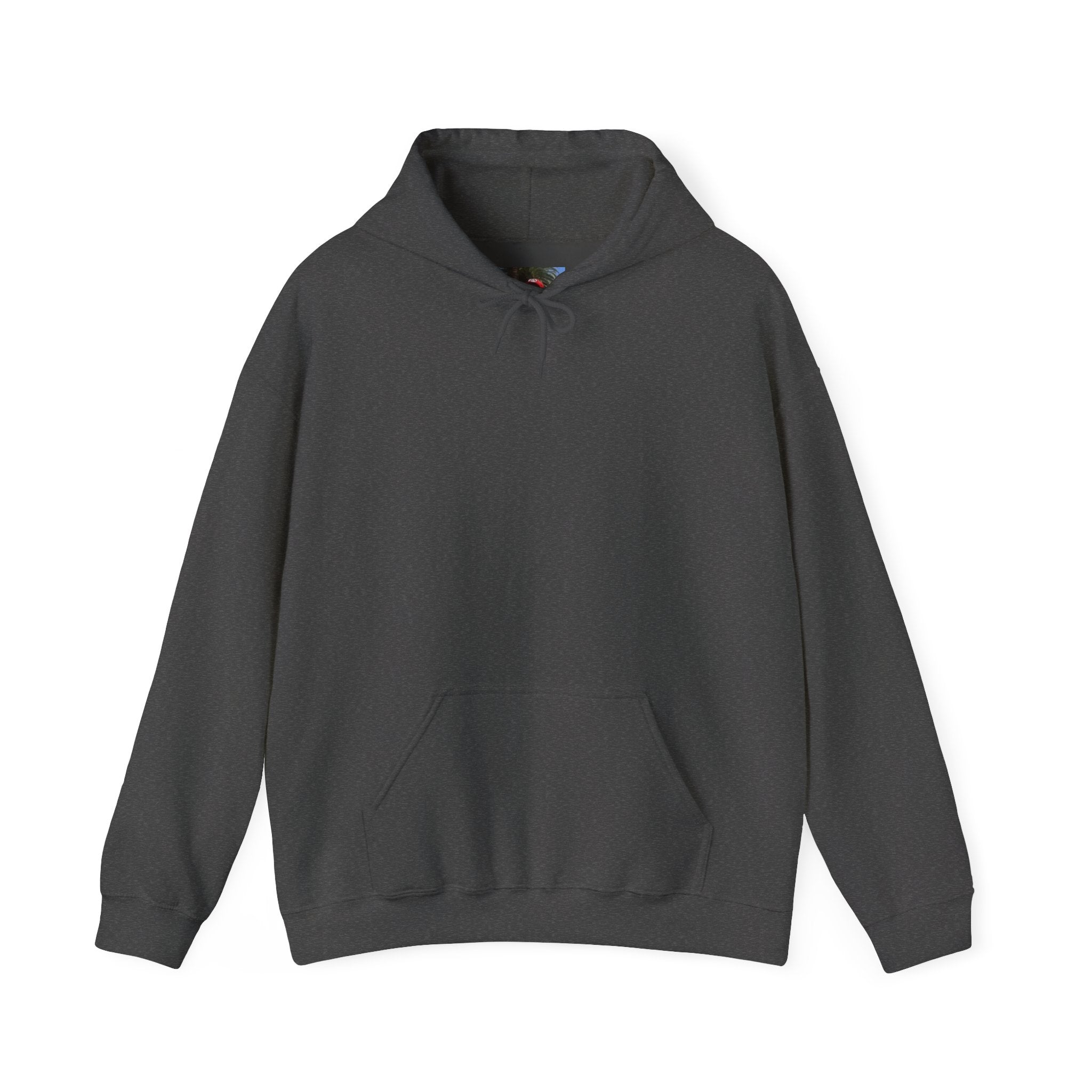 Smashtoos Logo Hoodie — Streetwear Graphic Pullover with Sleeve and Back Print