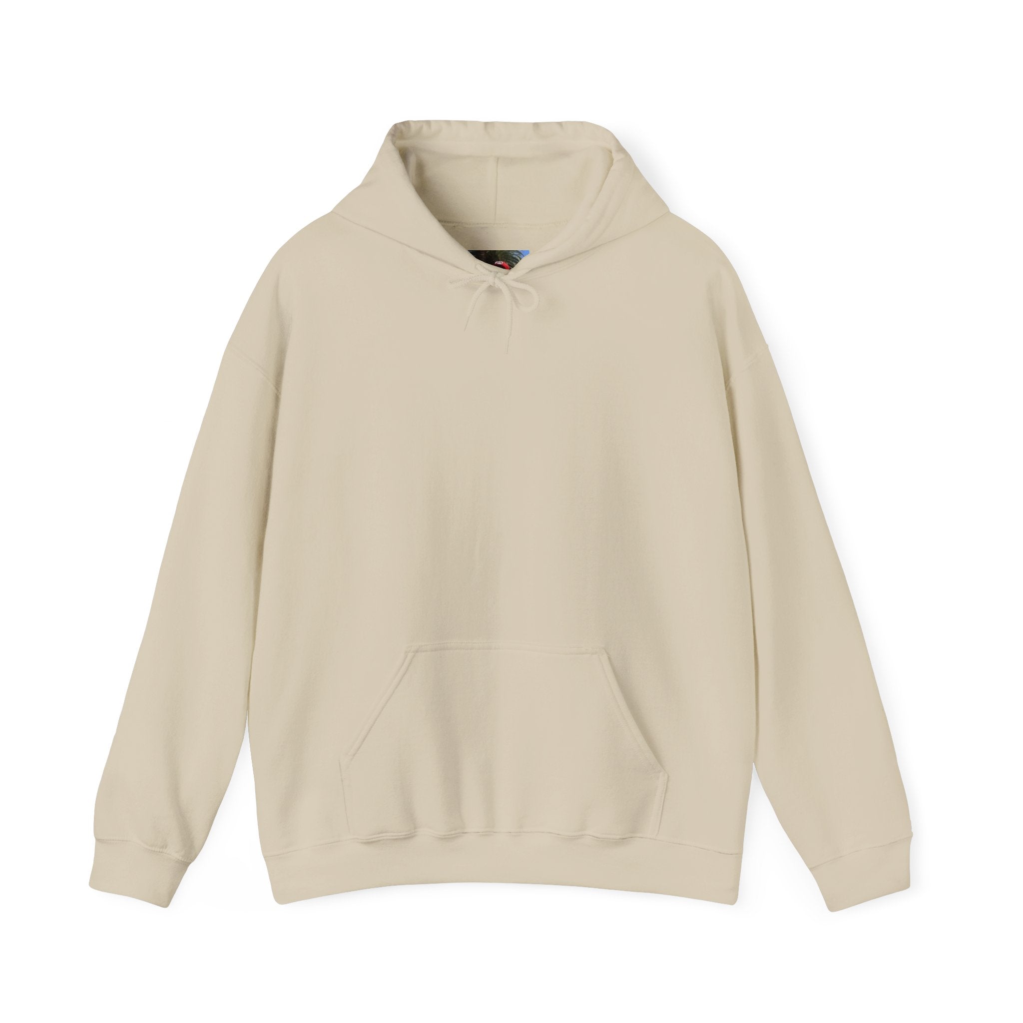 Smashtoos Logo Hoodie — Streetwear Graphic Pullover with Sleeve and Back Print