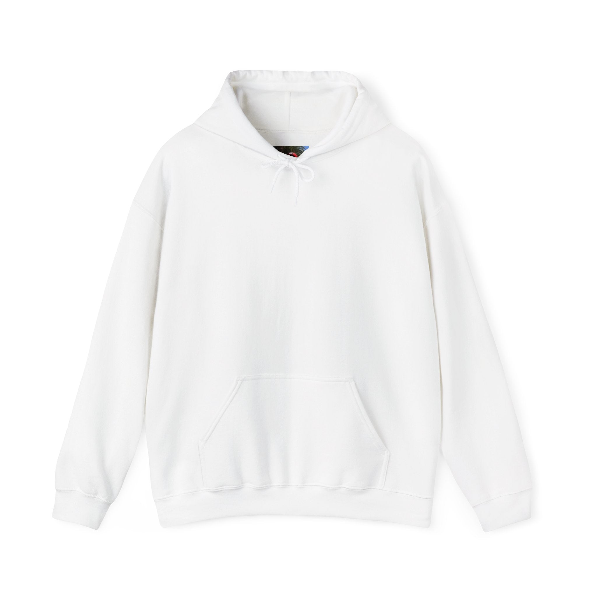 Smashtoos Logo Hoodie — Streetwear Graphic Pullover with Sleeve and Back Print