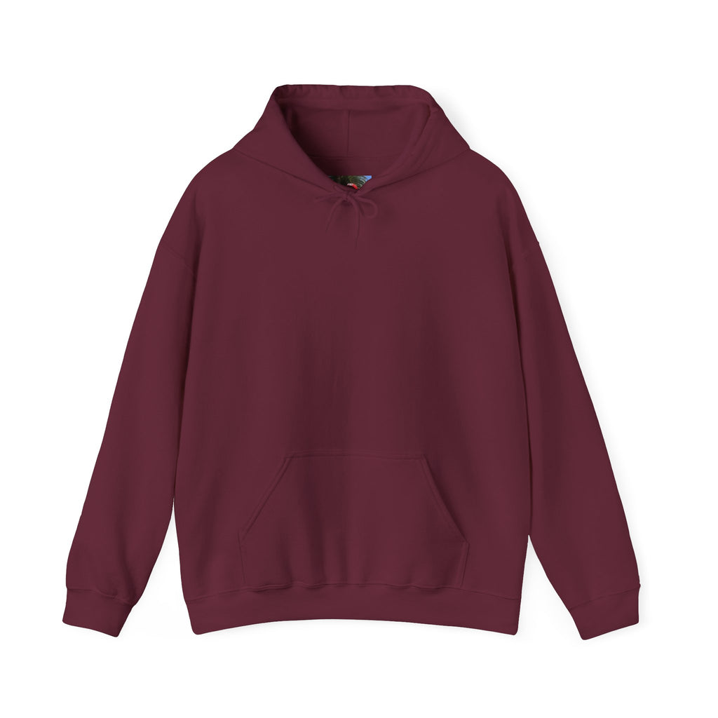 Smashtoos Logo Hoodie — Streetwear Graphic Pullover with Sleeve and Back Print