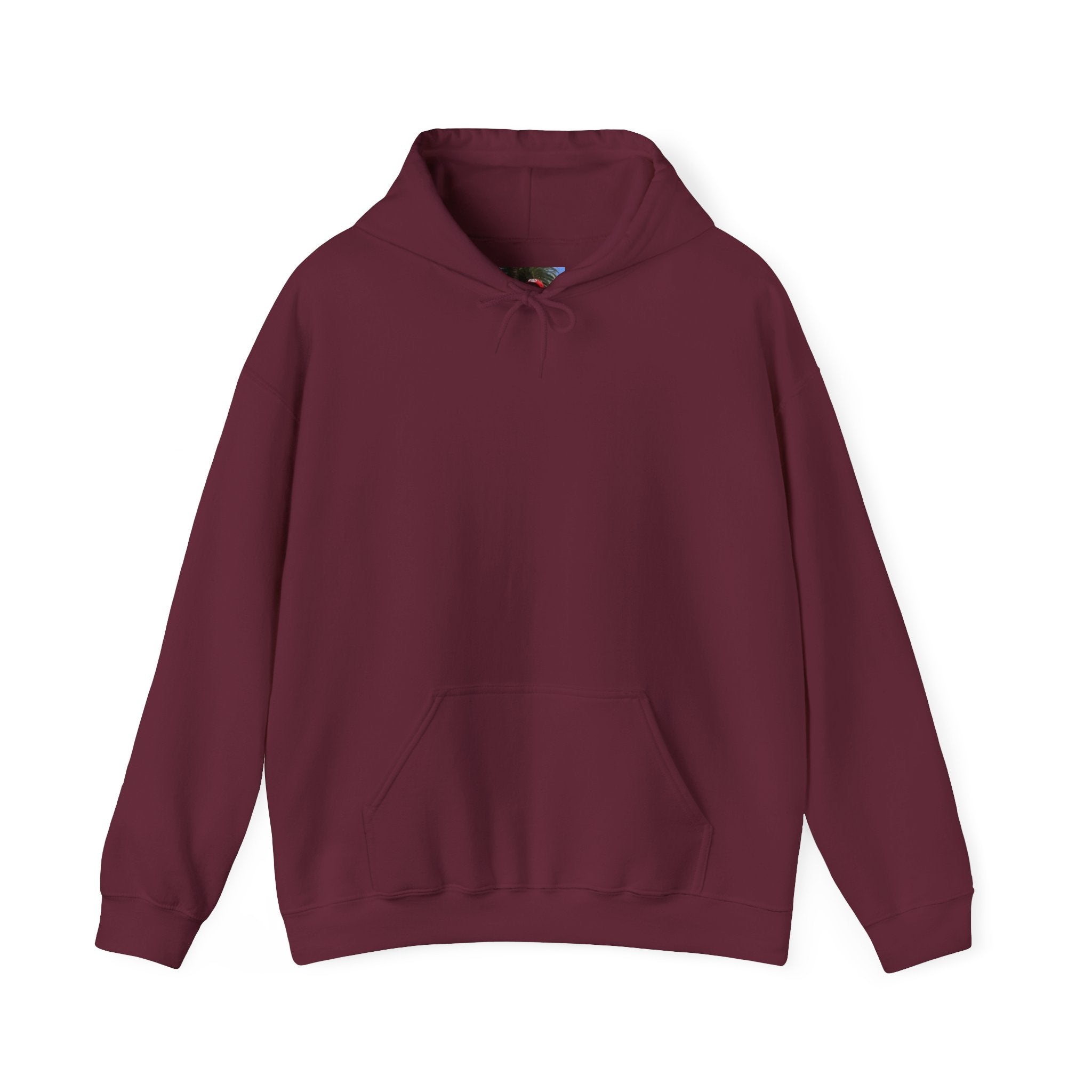 Smashtoos Logo Hoodie — Streetwear Graphic Pullover with Sleeve and Back Print